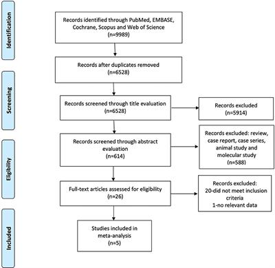 Factors Associated With Renal Involvement in Primary Sjögren's Syndrome: A Meta-Analysis